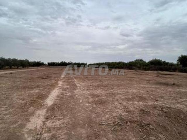 Propriété vente à Agadir, Oued ed Dahab-Lagouira