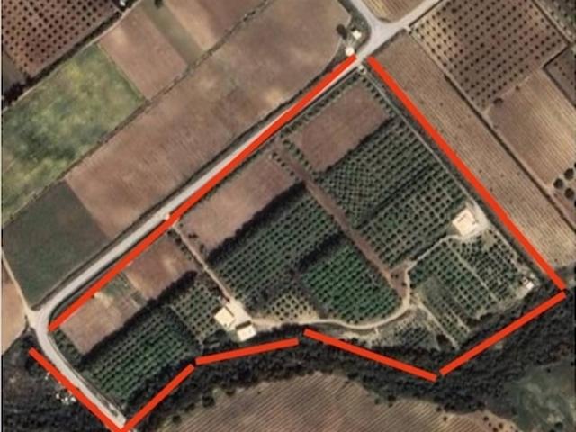 Propriété vente à Nabeul, Beni Khalled
