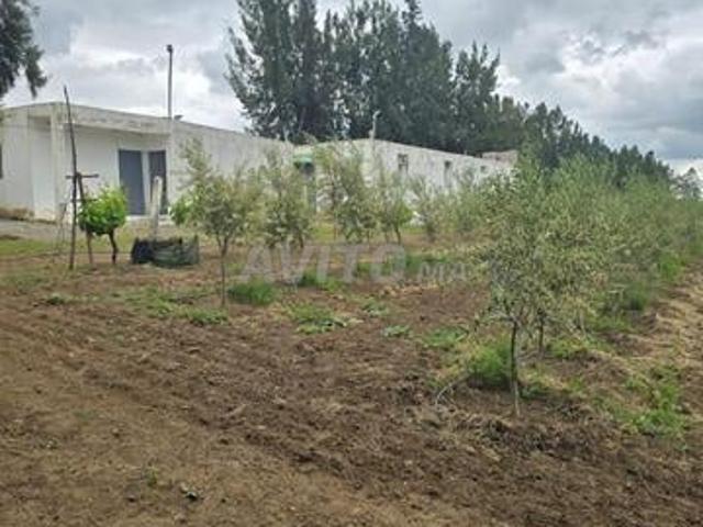 Propriété vente à Sidi Allal El Bahraoui
