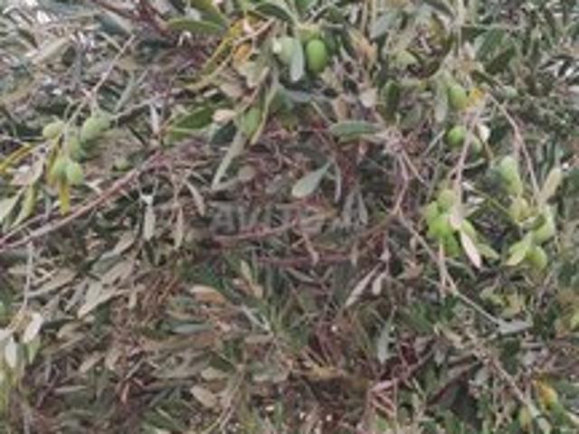 Propriété location à Berrechid, Gharb-Chrarda-Beni Hssen