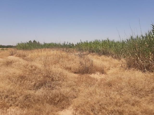 Terrain vente à L'Oriental