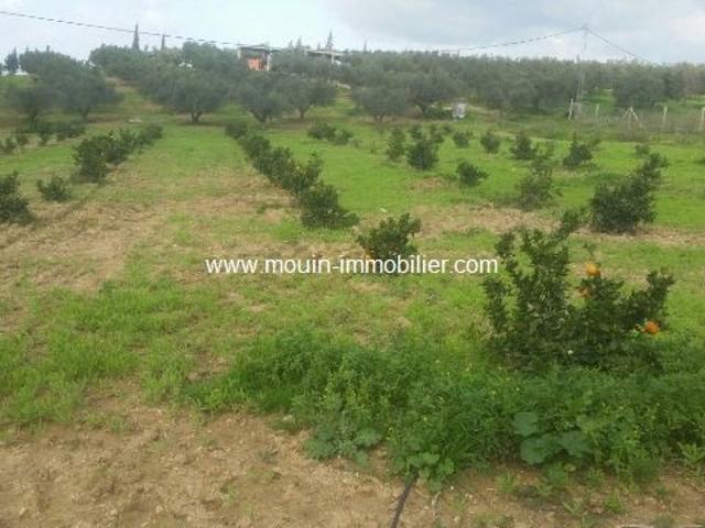 Ferme vente à Ben Arous
