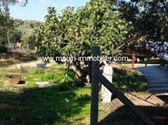Ferme vente à Ben Arous