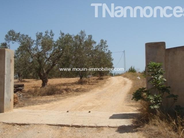 Terrain location