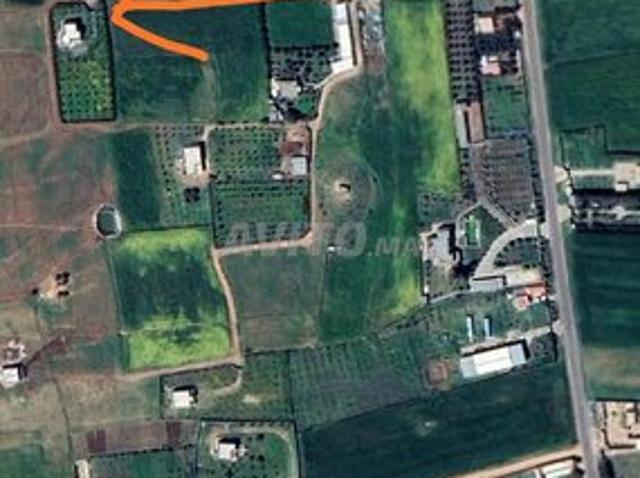 Propriété vente à Berrechid, Chaouia-Ouardigha