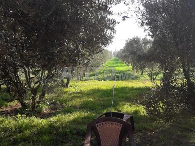 Propriété vente à Oulad Salah, Gharb-Chrarda-Beni Hssen
