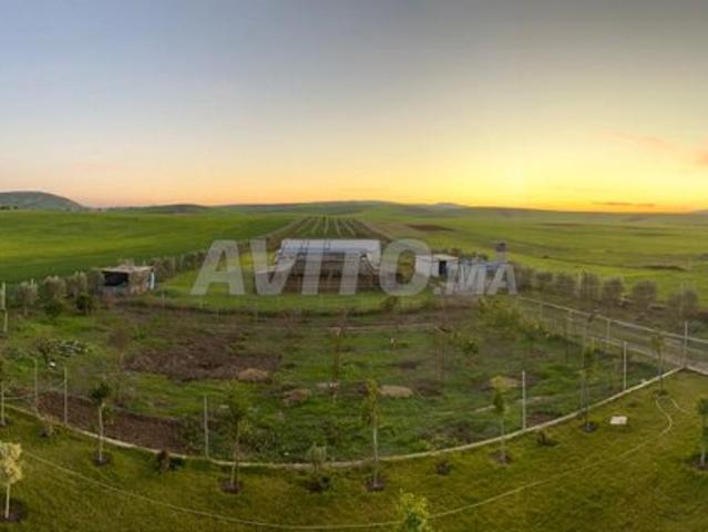 Propriété vente à Sidi Qacem