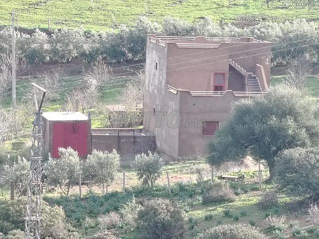 Propriété vente à Khémisset