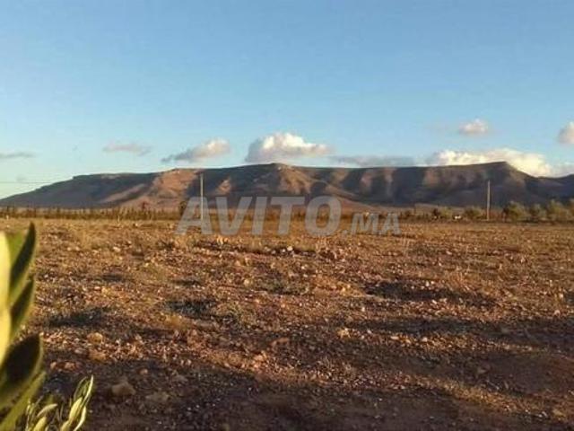 Propriété vente à Ben Slimane