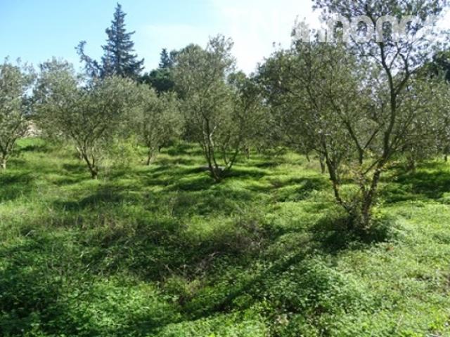 Terrain location
