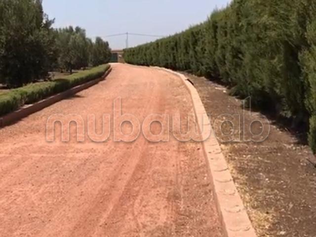 Ferme vente à Oulad Said, Gharb-Chrarda-Beni Hssen