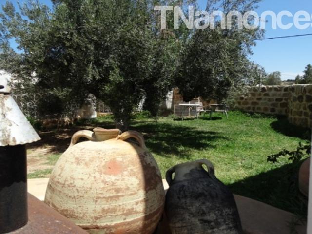 Terrain location