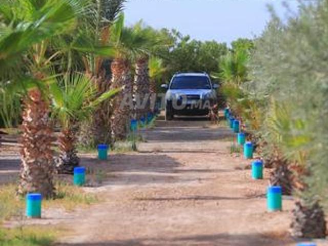 Propriété vente à Agadir, Oued ed Dahab-Lagouira