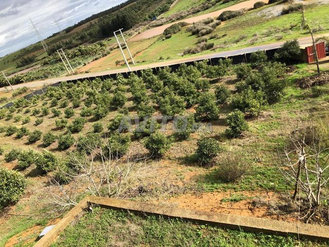 Propriété vente à Anfa, Gharb-Chrarda-Beni Hssen