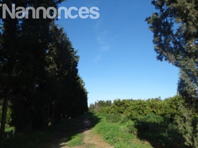 Terrain vente