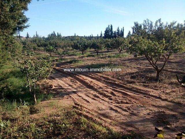 Ferme vente à Borj El Amri