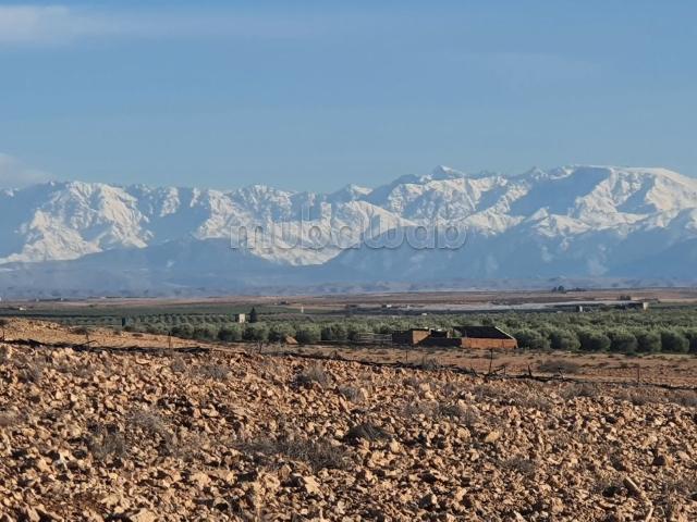 Ferme vente à Mzoudia, L'Oriental