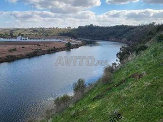 Propriété vente à El Ma, Gharb-Chrarda-Beni Hssen