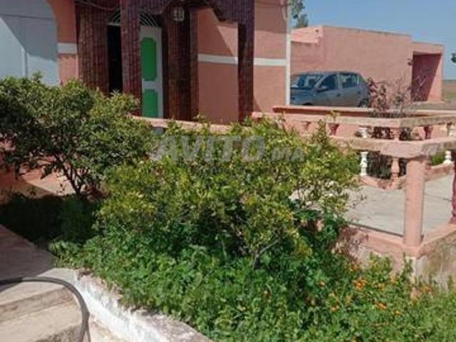 Propriété vente à Ezzhiliga