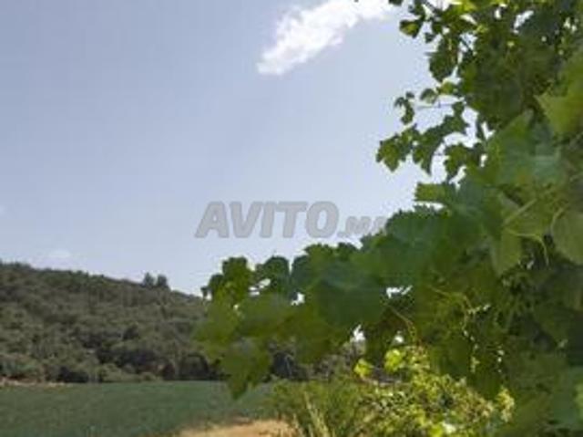 Propriété vente à Ifrane