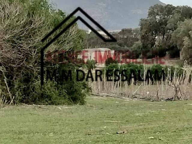 Ferme vente à Beni Khalled