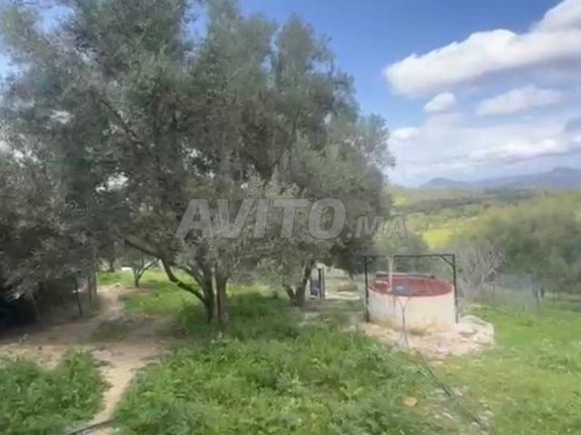 Propriété vente à Ouazzane, Tanger-Tétouan