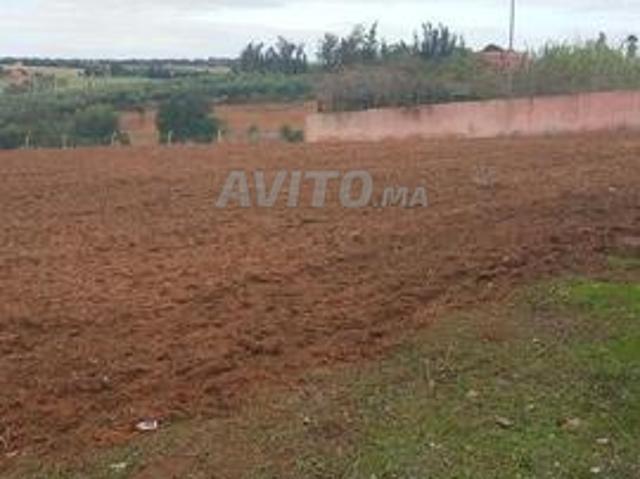 Propriété vente à Sidi Allal El Bahraoui