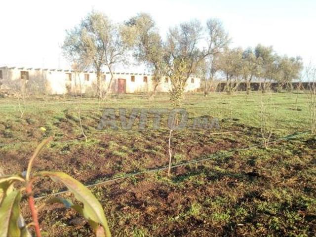 Propriété vente à Slimane, Gharb-Chrarda-Beni Hssen