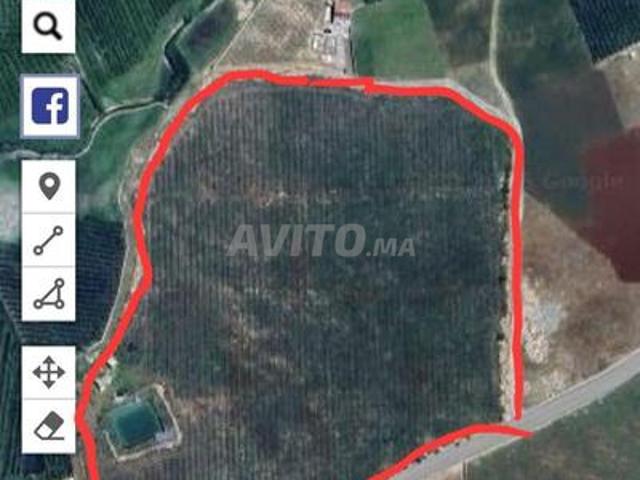 Propriété vente à Imouzzer Des Ida Ou Tanane, Oued ed Dahab-Lagouira