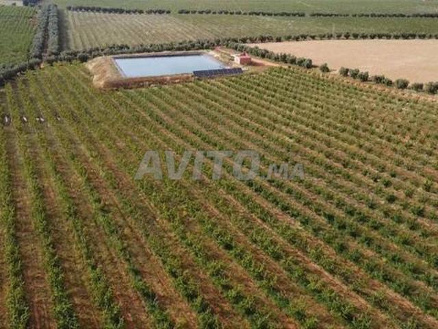 Propriété vente à Meknès
