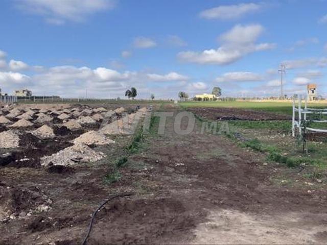 Propriété vente à Anfa, Gharb-Chrarda-Beni Hssen
