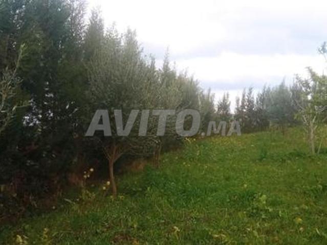 Propriété vente à Berrechid, Gharb-Chrarda-Beni Hssen