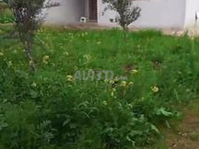 Propriété vente à Berrechid, Gharb-Chrarda-Beni Hssen