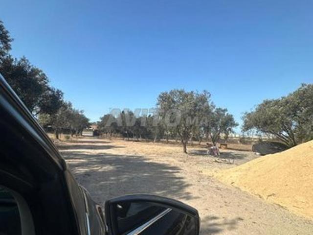 Propriété vente à Aïn Harrouda, Gharb-Chrarda-Beni Hssen