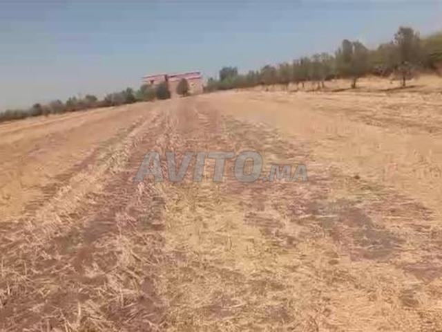 Propriété vente à Berrechid, Gharb-Chrarda-Beni Hssen