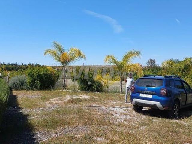 Propriété vente à Salé