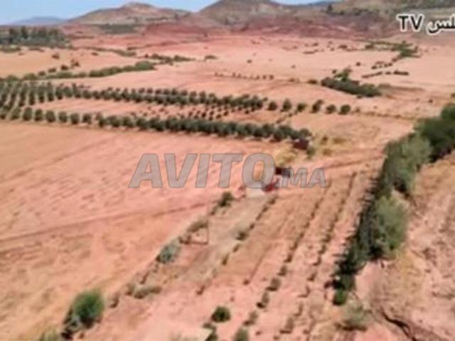 Propriété vente à Khénifra