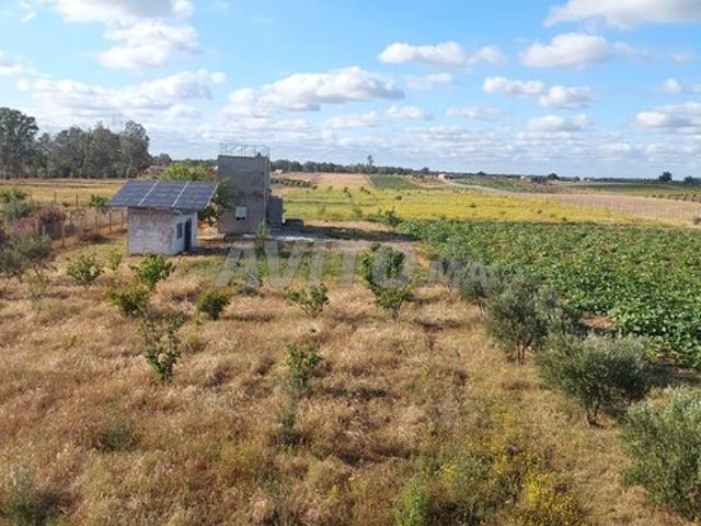 Propriété vente à Salé
