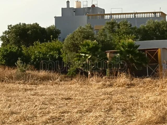 Ferme vente à Berrechid, Gharb-Chrarda-Beni Hssen