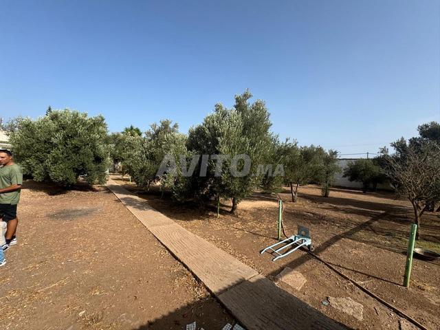 Propriété vente à Anfa, Gharb-Chrarda-Beni Hssen