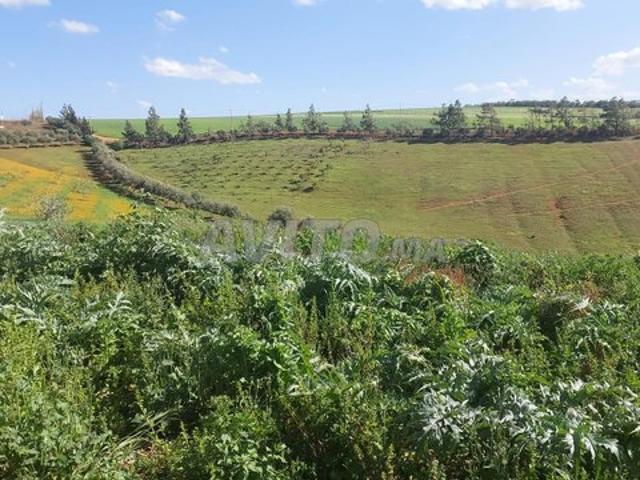 Propriété vente à Salé