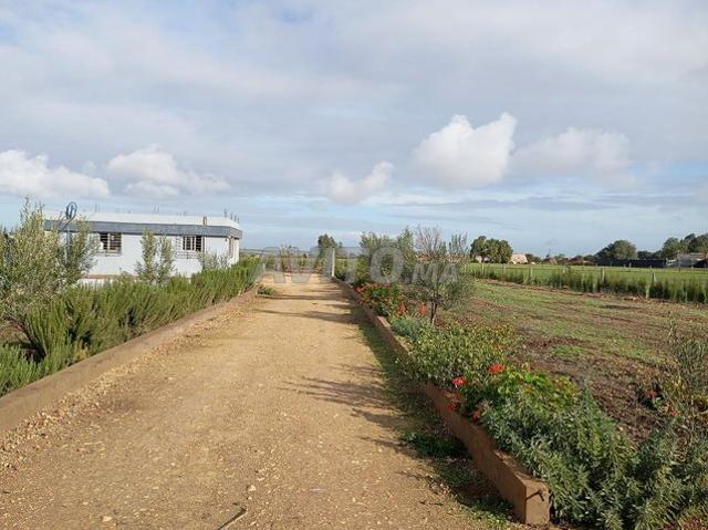 Propriété vente à Settat, Gharb-Chrarda-Beni Hssen