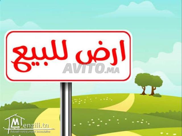 Propriété vente à L'Oriental