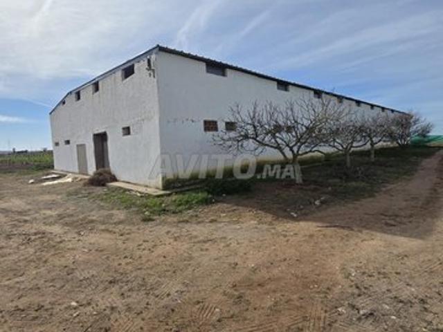 Propriété vente à El Ma, Gharb-Chrarda-Beni Hssen