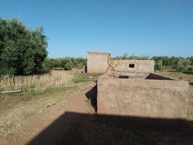 Terrain vente à Marrakech, L'Oriental