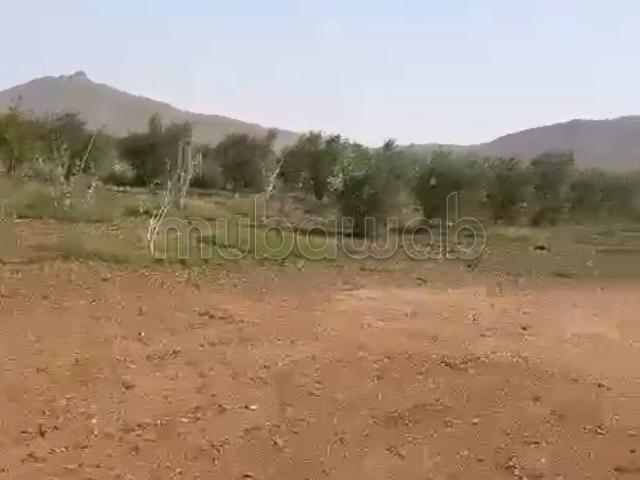 Ferme vente à Marrakech, L'Oriental