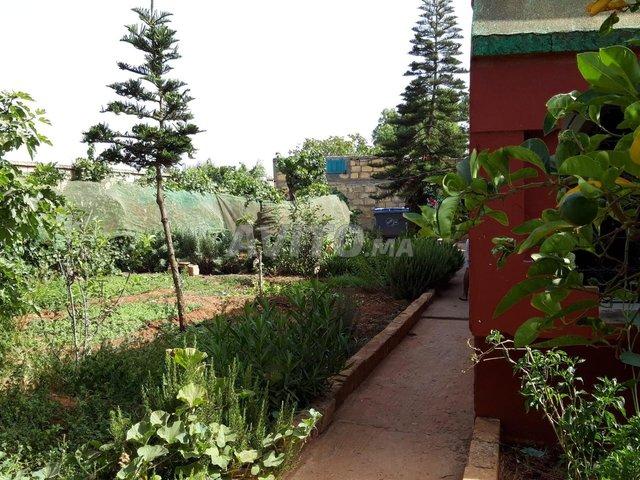 Propriété vente à El Ma, Gharb-Chrarda-Beni Hssen