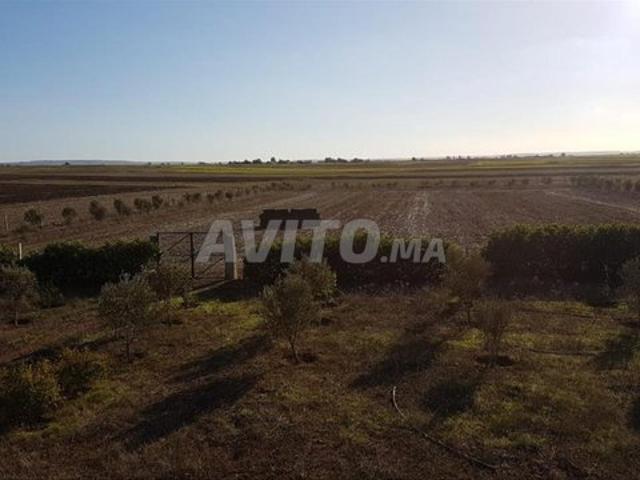 Propriété vente à Berrechid, Gharb-Chrarda-Beni Hssen