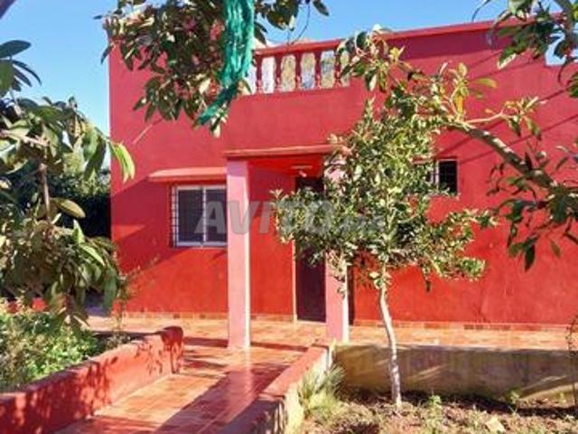 Propriété vente à Témara