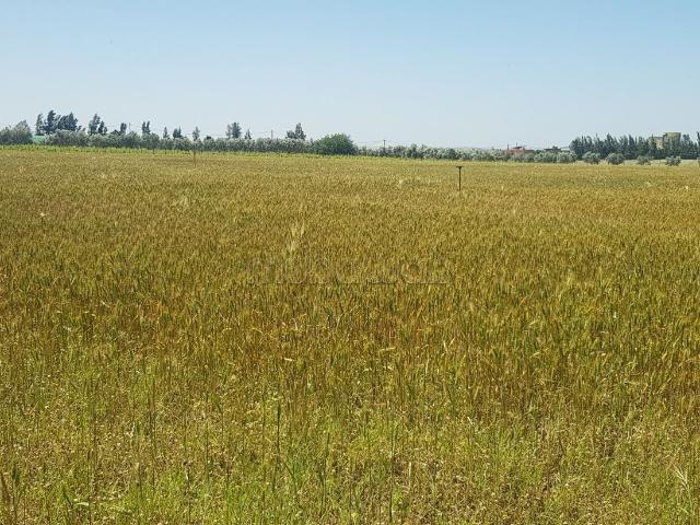 Terrain vente à Sidi Allal El Bahraoui